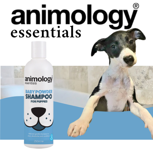 500x500_blog_animology_essentials