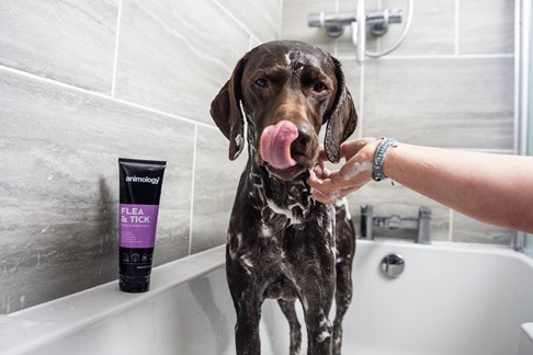 Animology šampón Flea&Tick